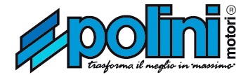 https://www.polinithor.com/en/