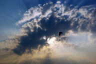 interaviator_2010_04_20_126.jpg