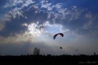 interaviator_2010_04_20_131.jpg