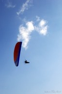 interaviator_2010_04_20_133.jpg